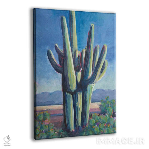تابلو دکوراتیو سرزمین کاکتوس II اثر لیزا باترز - نمای پرسپکتیو محصول