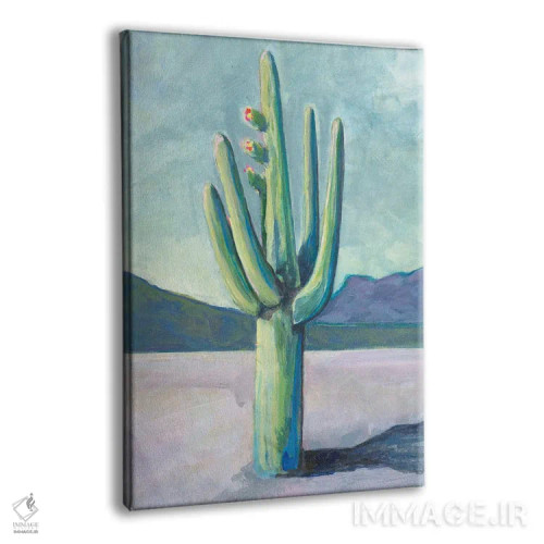 تابلو دکوراتیو سرزمین کاکتوس I اثر لیزا باترز - نمای پرسپکتیو محصول