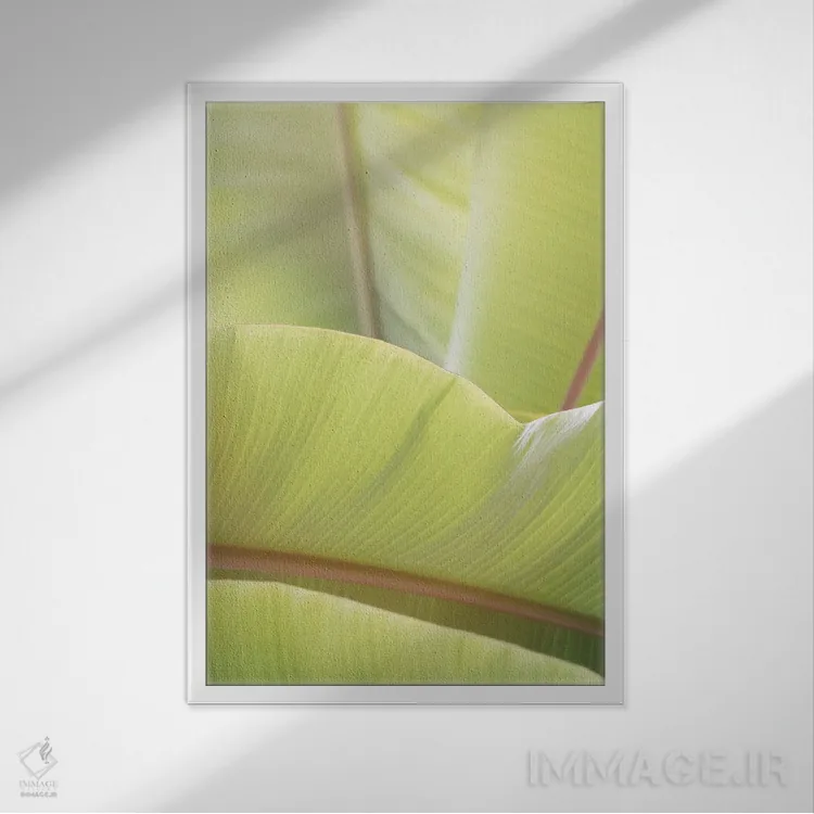 تابلو دکوراتیو برگ های نخل I اثر لینان کولیگان - نمای قابدار سفید