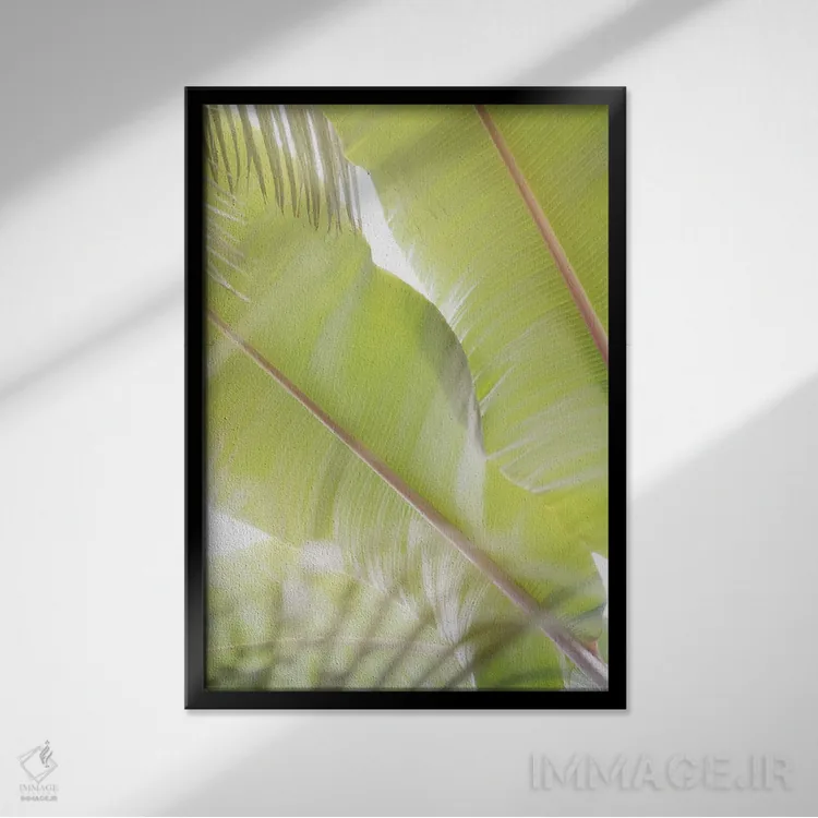 تابلو دکوراتیو برگ های نخل II اثر لینان کولیگان - نمای قابدار مشکی