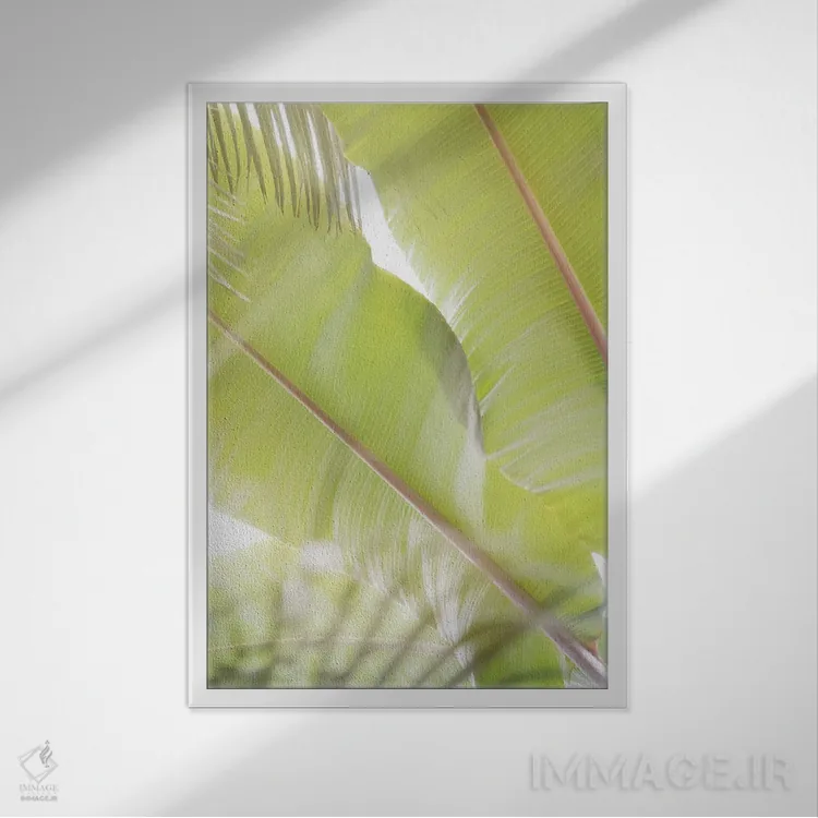تابلو دکوراتیو برگ های نخل II اثر لینان کولیگان - نمای قابدار سفید