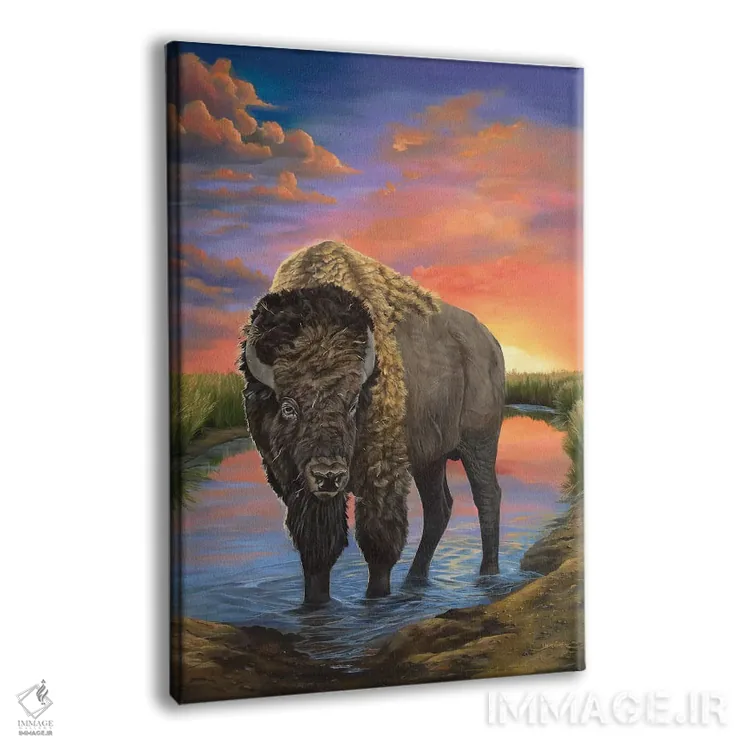 تابلو دکوراتیو گاومیش آمریکایی اثر لورا کرتین - نمای پرسپکتیو محصول