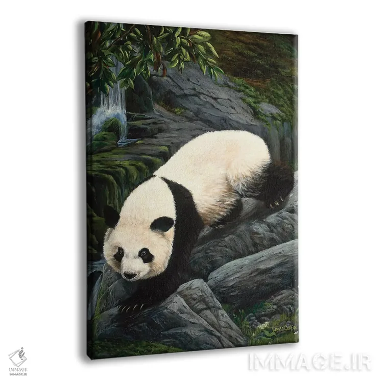 تابلو دکوراتیو پاندای در حال پایین آمدن اثر لورا کرتین - نمای پرسپکتیو محصول