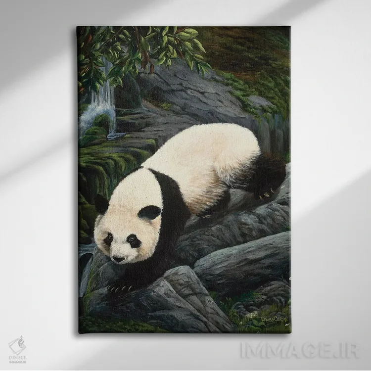 تابلو دکوراتیو پاندای در حال پایین آمدن اثر لورا کرتین - نمای روبهرو روی دیوار