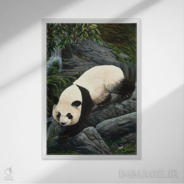 تابلو دکوراتیو پاندای در حال پایین آمدن اثر لورا کرتین - نمای قابدار سفید