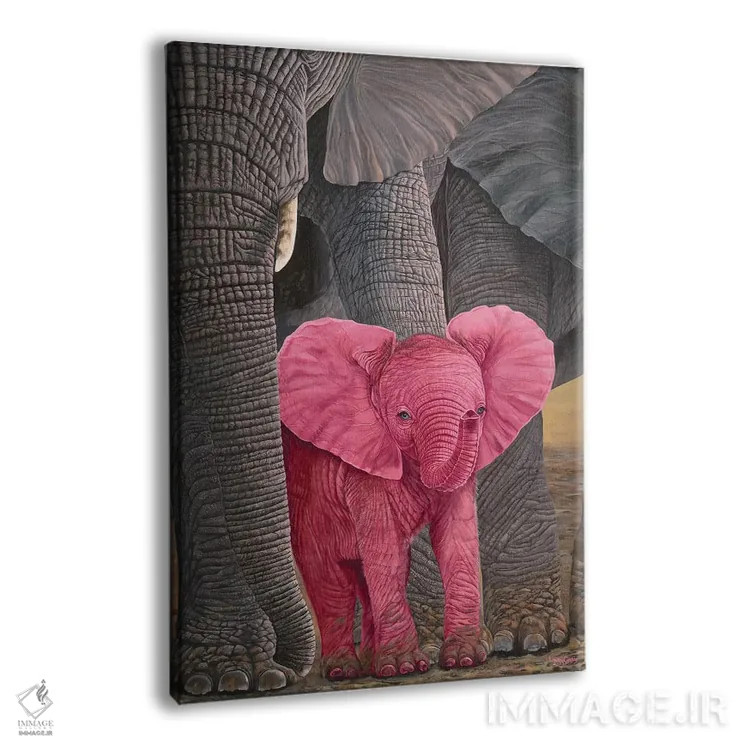 تابلو دکوراتیو شگفتی اثر لورا کرتین - نمای پرسپکتیو محصول