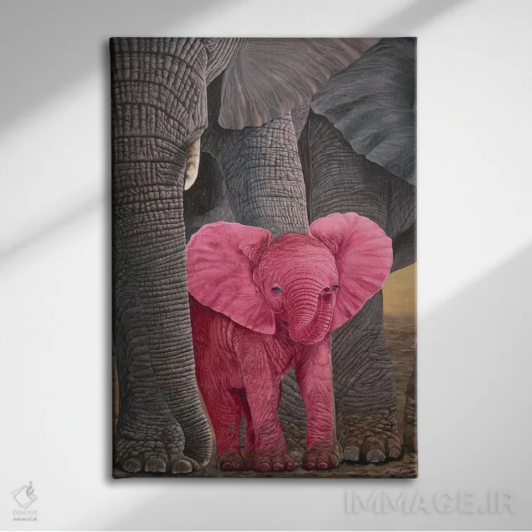 تابلو دکوراتیو شگفتی اثر لورا کرتین - نمای روبهرو روی دیوار