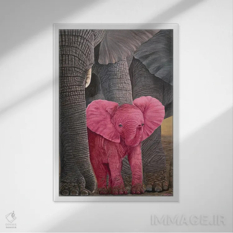 تابلو دکوراتیو شگفتی اثر لورا کرتین - نمای قابدار سفید