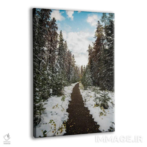 تابلو دکوراتیو مسیر زمستانی اثر لوکاس مور - نمای پرسپکتیو محصول