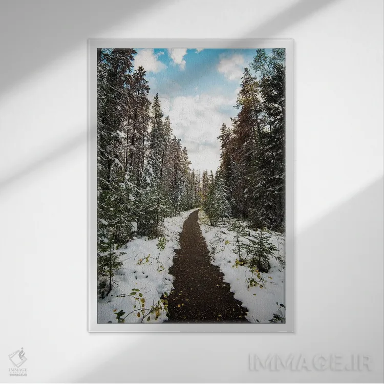 تابلو دکوراتیو مسیر زمستانی اثر لوکاس مور - نمای قابدار سفید