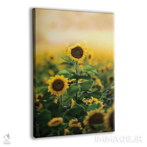 تابلو دکوراتیو گل تنها اثر لوکاس مور - نمای پرسپکتیو محصول