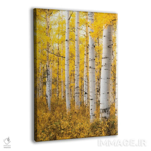 تابلو دکوراتیو جنگل زرد اثر لوکاس مور - نمای پرسپکتیو محصول