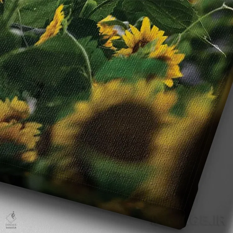 تابلو دکوراتیو گل تنها اثر لوکاس مور - نمای نزدیک بافت بوم