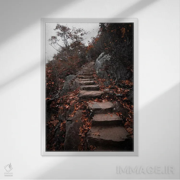 تابلو دکوراتیو مسیر پاییزی اثر لوکاس مور - نمای قابدار سفید