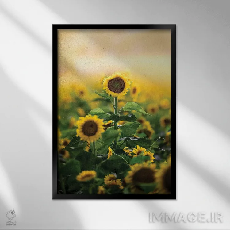 تابلو دکوراتیو گل تنها اثر لوکاس مور - نمای قابدار مشکی