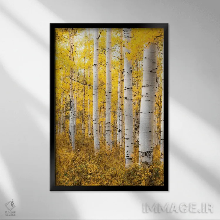 تابلو دکوراتیو جنگل زرد اثر لوکاس مور - نمای قابدار مشکی
