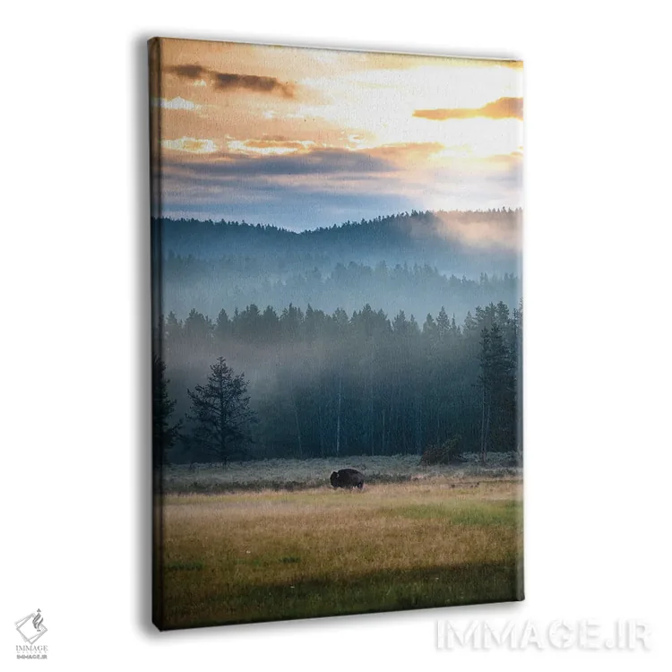 تابلو دکوراتیو طلوع خورشید بایسون اثر لوکاس مور - نمای پرسپکتیو محصول