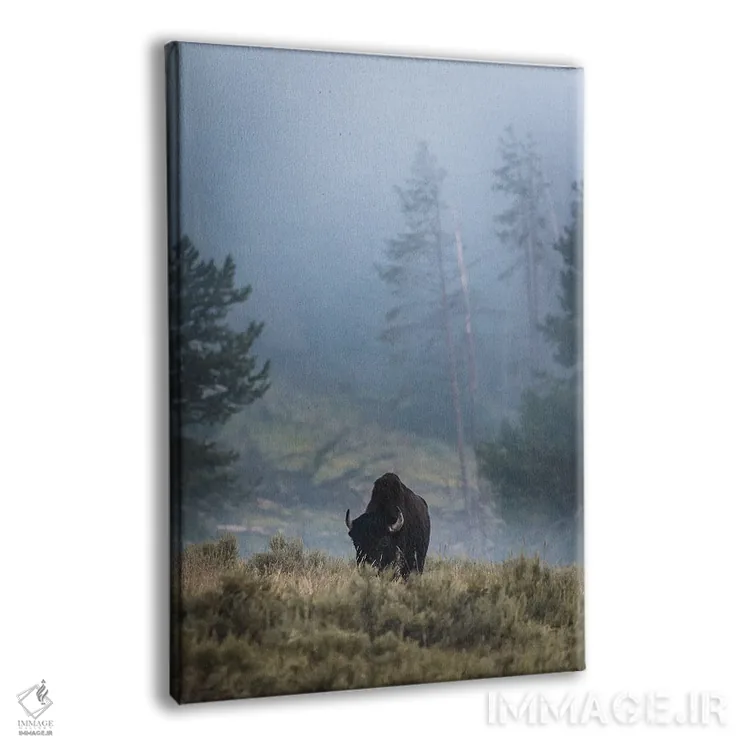 تابلو دکوراتیو بایسون تنها اثر لوکاس مور - نمای پرسپکتیو محصول