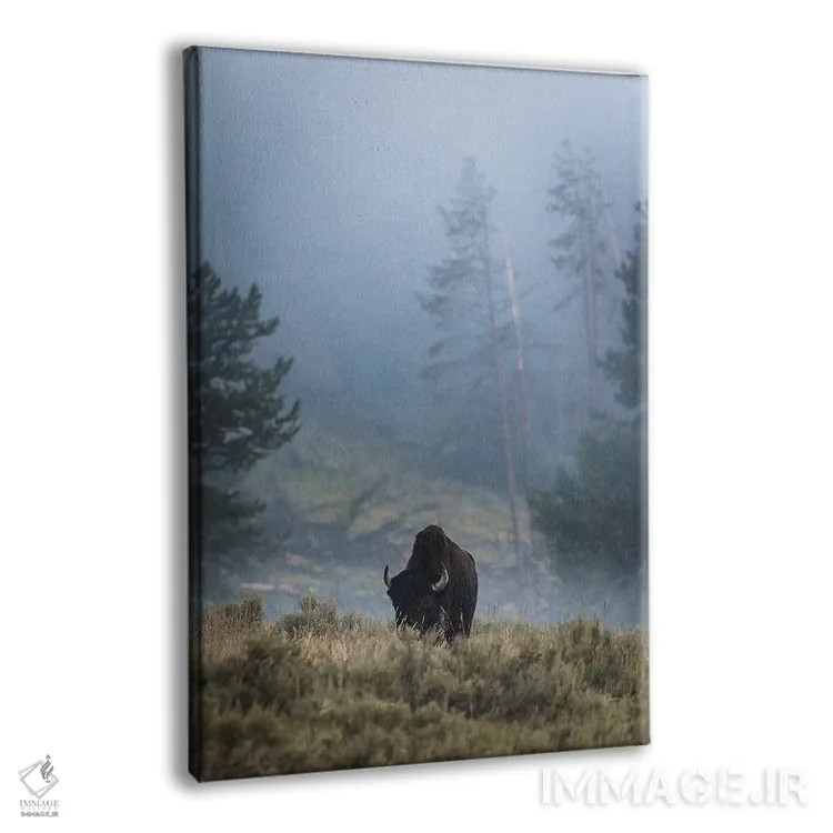 تابلو دکوراتیو بایسون تنها اثر لوکاس مور - نمای پرسپکتیو محصول