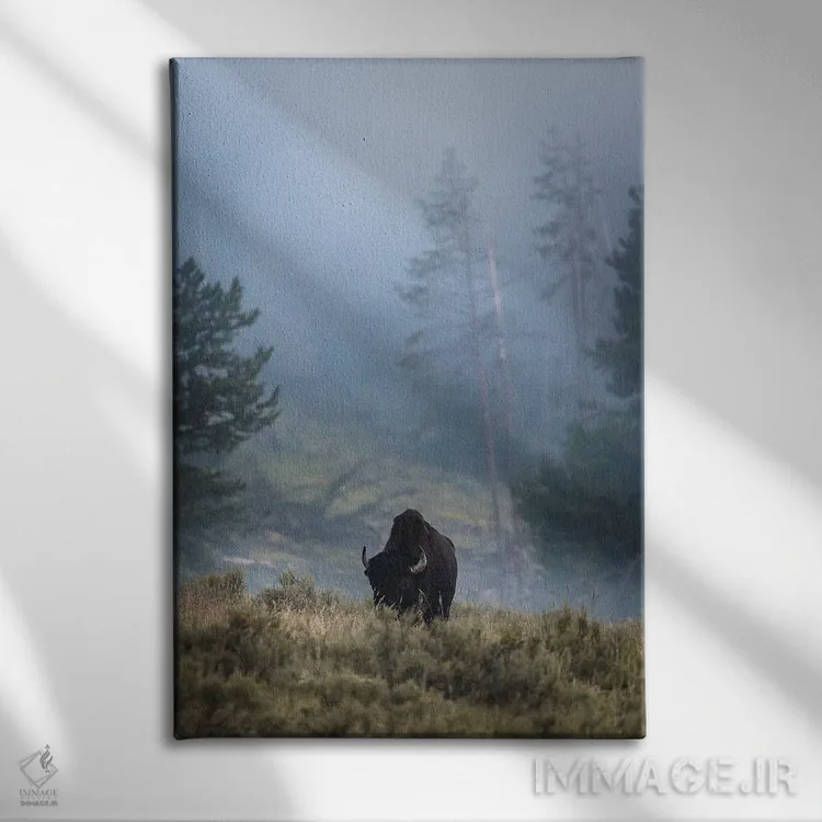 تابلو دکوراتیو بایسون تنها اثر لوکاس مور - نمای روبهرو روی دیوار