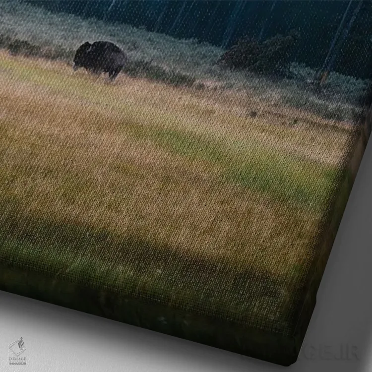 تابلو دکوراتیو طلوع خورشید بایسون اثر لوکاس مور - نمای نزدیک بافت بوم