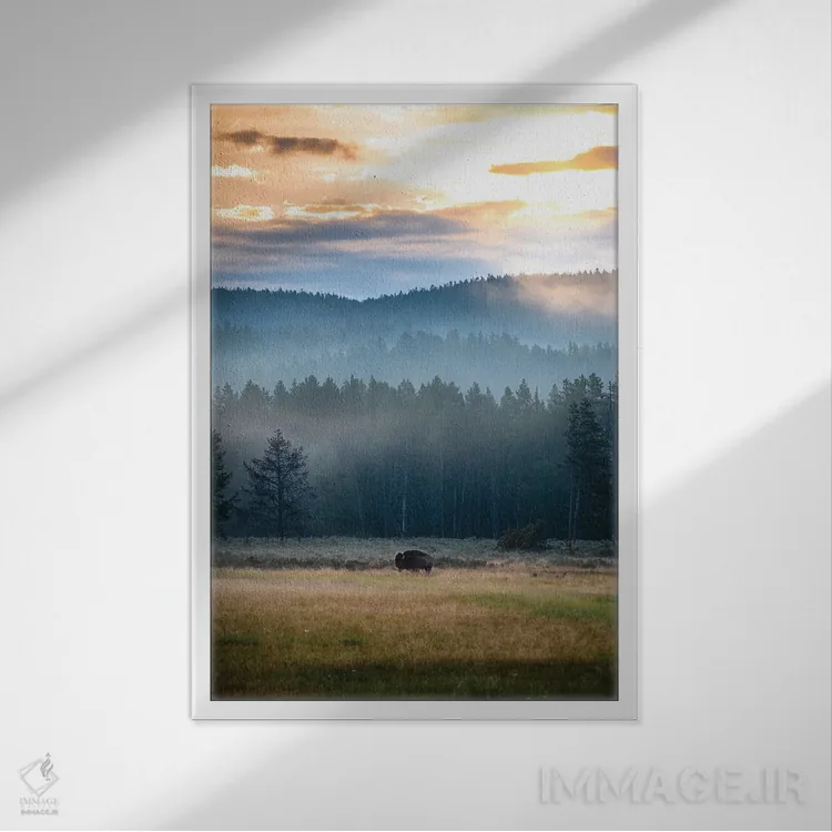 تابلو دکوراتیو طلوع خورشید بایسون اثر لوکاس مور - نمای قابدار سفید
