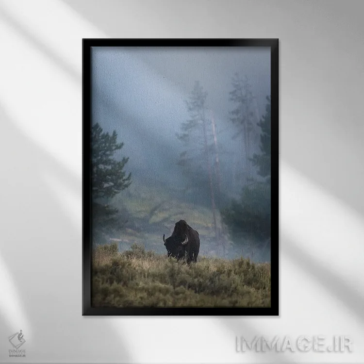 تابلو دکوراتیو بایسون تنها اثر لوکاس مور - نمای قابدار مشکی
