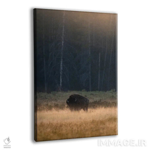 تابلو دکوراتیو چریدن صبحگاهی اثر لوکاس مور - نمای پرسپکتیو محصول