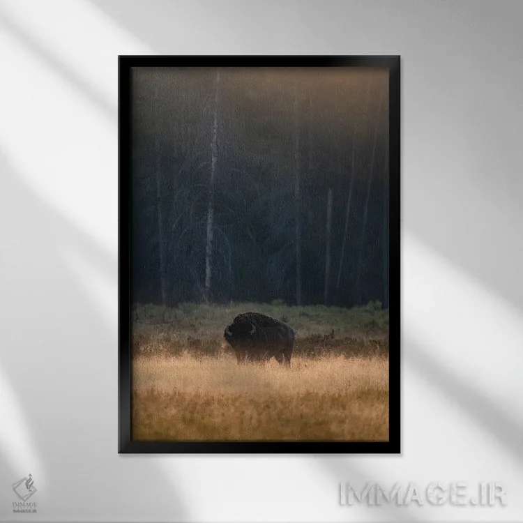 تابلو دکوراتیو چریدن صبحگاهی اثر لوکاس مور - نمای قابدار مشکی