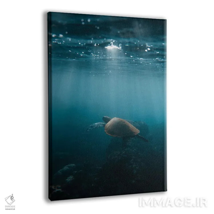 تابلو دکوراتیو لاک پشت هاوایی اثر لوکاس مور - نمای پرسپکتیو محصول