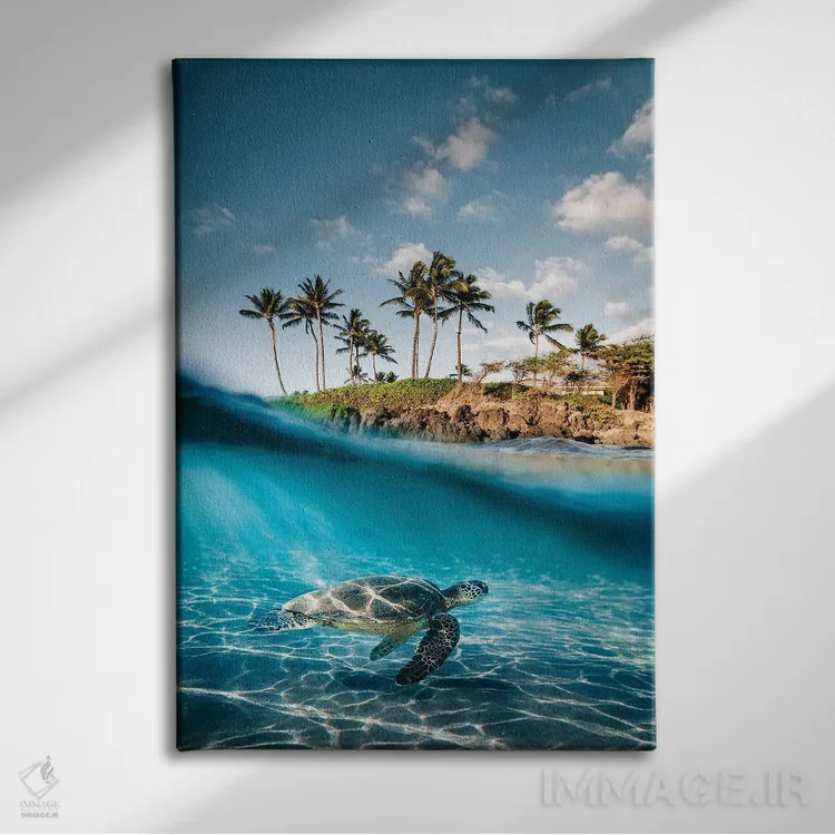 تابلو دکوراتیو از خشکی تا دریا اثر لوکاس مور - نمای روبهرو روی دیوار