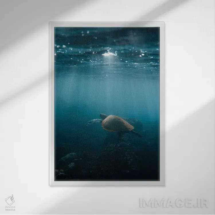 تابلو دکوراتیو لاک پشت هاوایی اثر لوکاس مور - نمای قابدار سفید