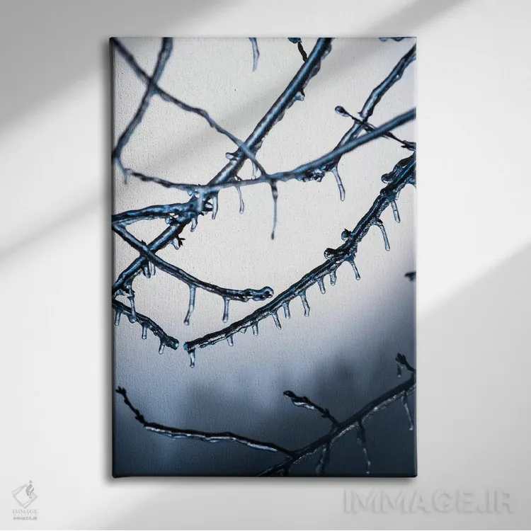 تابلو دکوراتیو یخ زده اثر لوکاس مور - نمای روبهرو روی دیوار