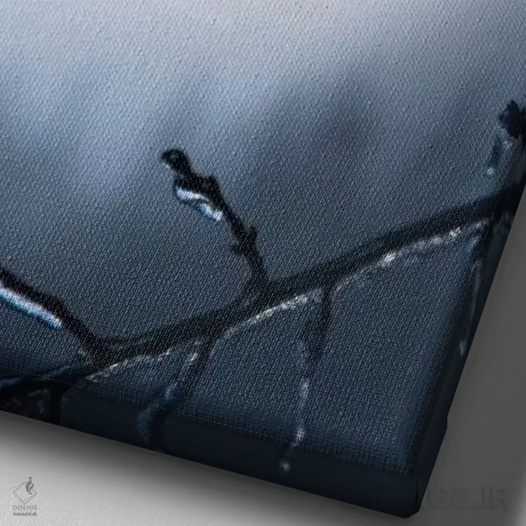 تابلو دکوراتیو یخ زده اثر لوکاس مور - نمای نزدیک بافت بوم