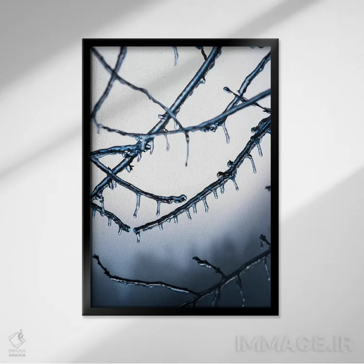 تابلو دکوراتیو یخ زده اثر لوکاس مور - نمای قابدار مشکی