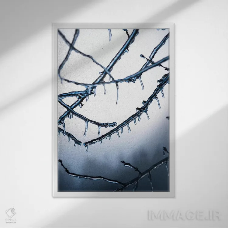 تابلو دکوراتیو یخ زده اثر لوکاس مور - نمای قابدار سفید