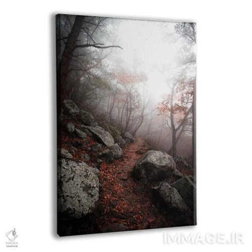 تابلو دکوراتیو جنگل اسرارآمیز اثر لوکاس مور - نمای پرسپکتیو محصول
