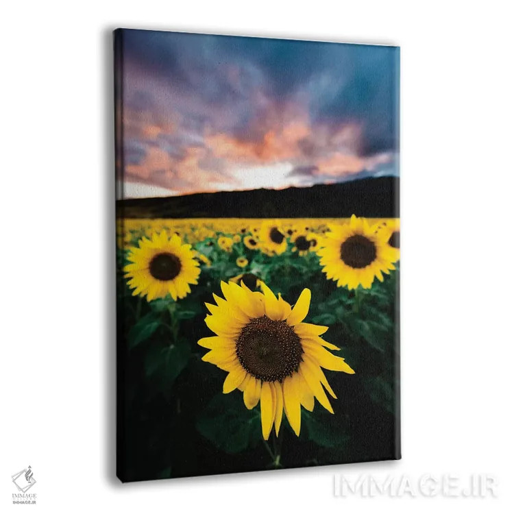 تابلو دکوراتیو غروب آفتابگردان اثر لوکاس مور - نمای پرسپکتیو محصول