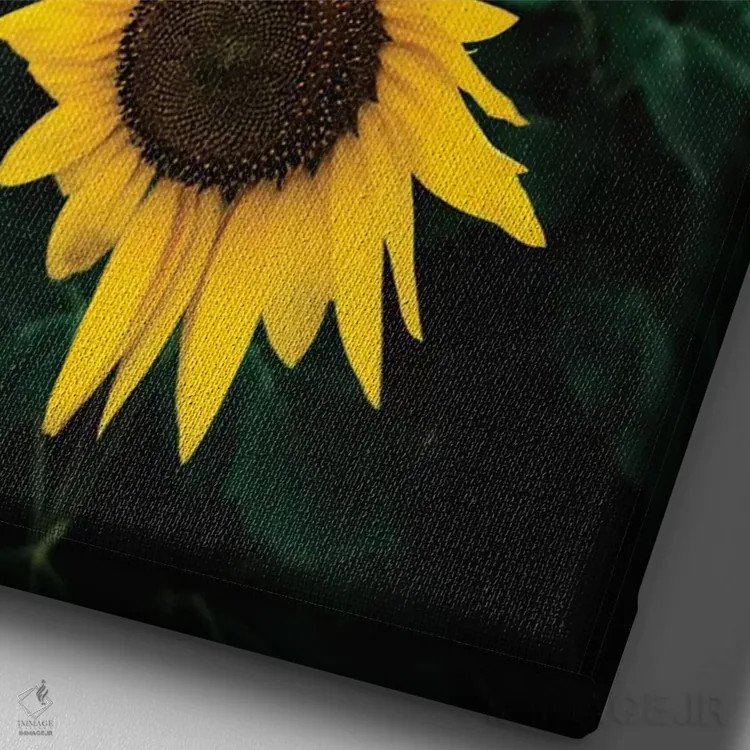 تابلو دکوراتیو غروب آفتابگردان اثر لوکاس مور - نمای نزدیک بافت بوم