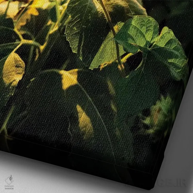 تابلو دکوراتیو عشق آفتابگردانی اثر لوکاس مور - نمای نزدیک بافت بوم