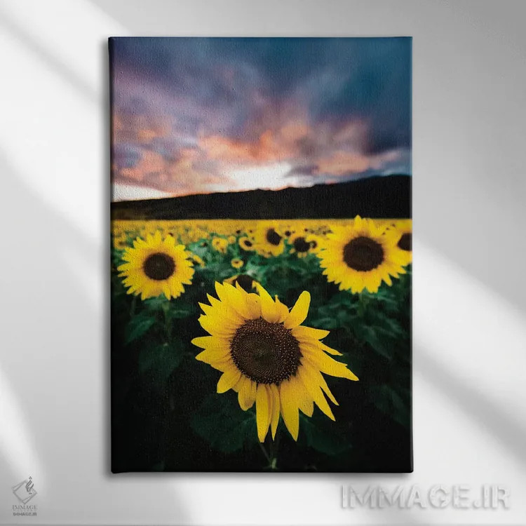 تابلو دکوراتیو غروب آفتابگردان اثر لوکاس مور - نمای روبهرو روی دیوار
