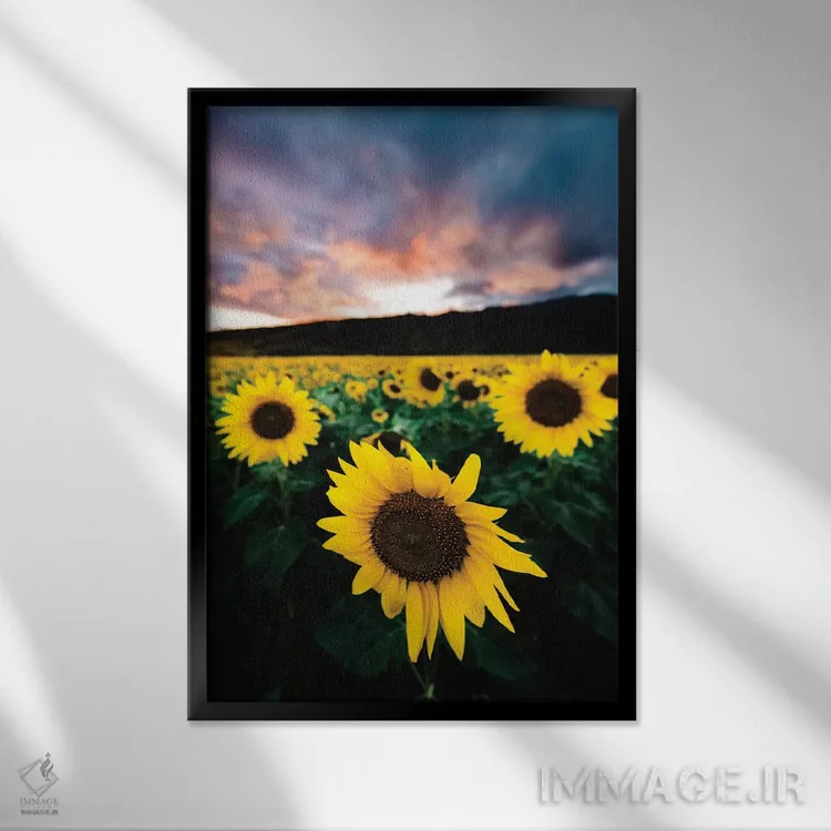 تابلو دکوراتیو غروب آفتابگردان اثر لوکاس مور - نمای قابدار مشکی