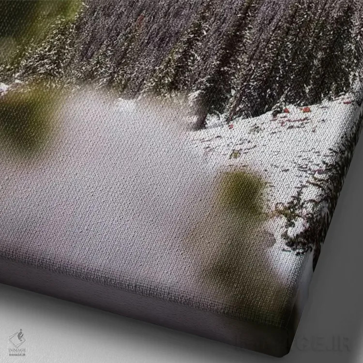 تابلو دکوراتیو میان درختان اثر لوکاس مور - نمای نزدیک بافت بوم