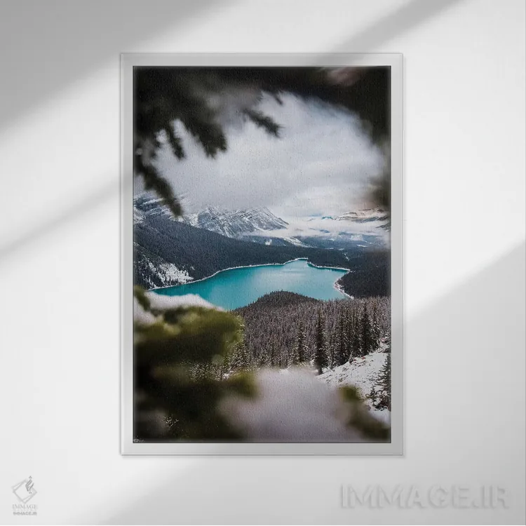 تابلو دکوراتیو میان درختان اثر لوکاس مور - نمای قابدار سفید