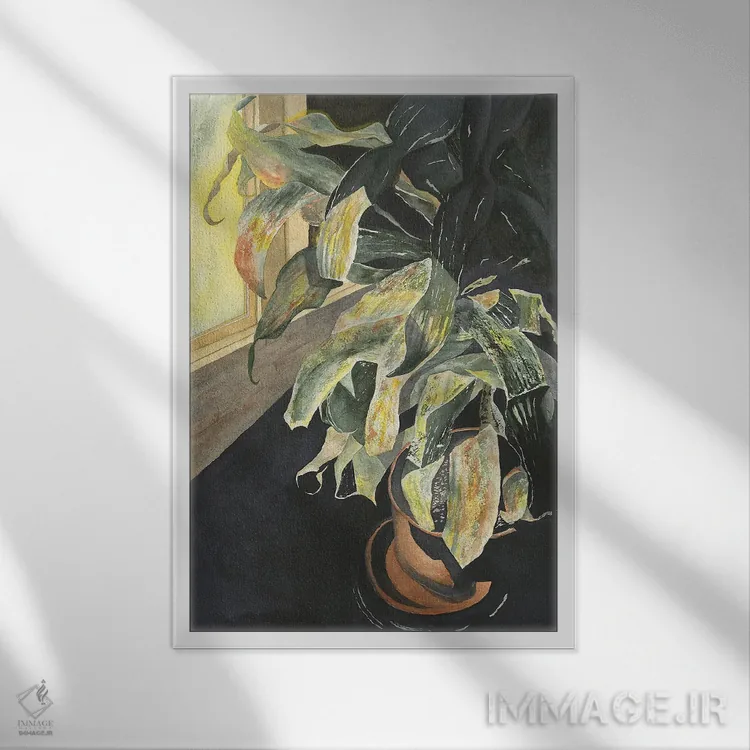 تابلو دکوراتیو نورافشانی اثر لیز کاوینگتون - نمای قابدار سفید