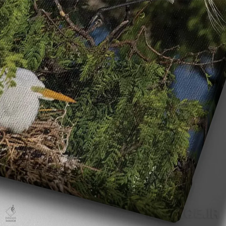 تابلو دکوراتیو فرود حواصیل بزرگ در آشیانه اثر لری دیتو - نمای نزدیک بافت بوم