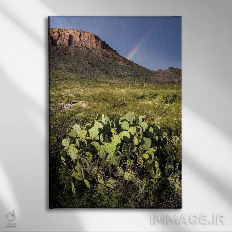 تابلو دکوراتیو بیابان چی واوا اثر لری دیتو - نمای روبهرو روی دیوار