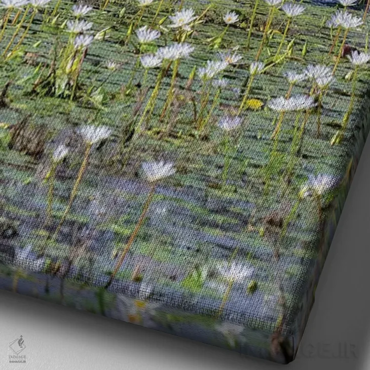 تابلو دکوراتیو اسب در حال قدم زدن در برکه کم عمق اثر لری دیتو - نمای نزدیک بافت بوم