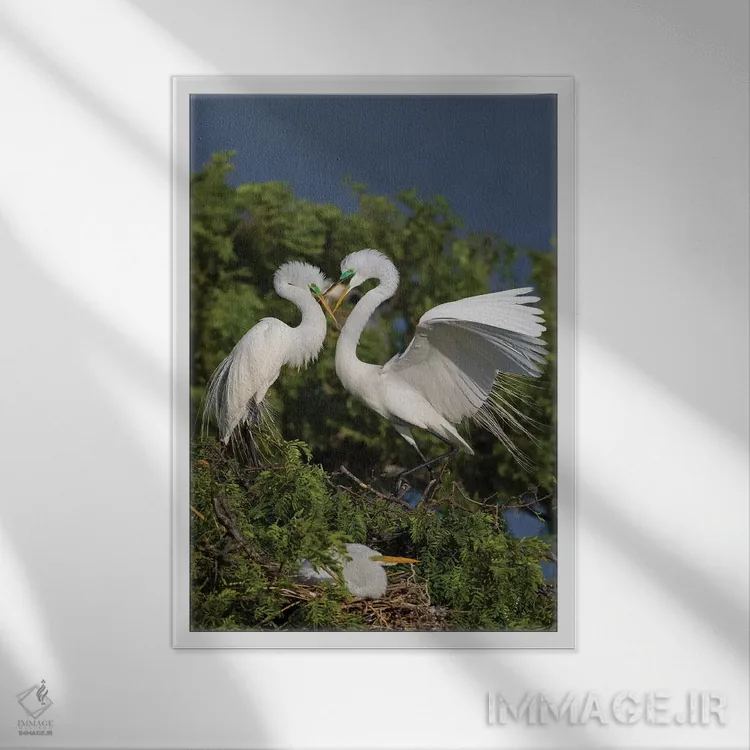 تابلو دکوراتیو فرود حواصیل بزرگ در آشیانه اثر لری دیتو - نمای قابدار سفید