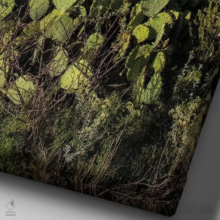 تابلو دکوراتیو بیابان چی واوا اثر لری دیتو - نمای نزدیک بافت بوم